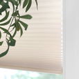 Closeup Cellular shades